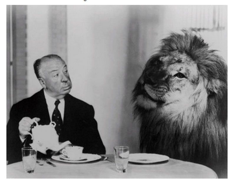 La historia del logotipo de la Metro Goldwyn Mayer 16 hitchcock.mgm.lion--2