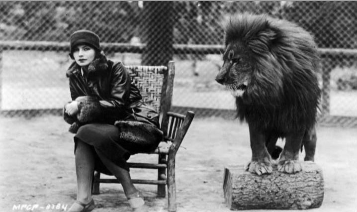 La historia del logotipo de la Metro Goldwyn Mayer 14 logo-metrogoldwin-leon-greta-garbo