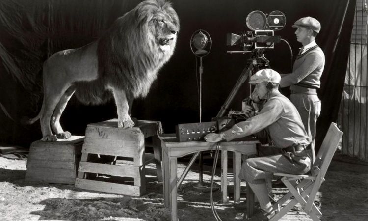 La historia del logotipo de la Metro Goldwyn Mayer 13 logo-metrogoldwin-leon
