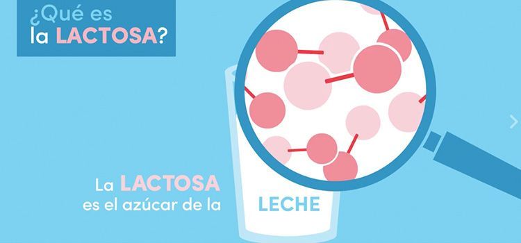 ¿Cuáles son las marcas más valoradas en Redes Sociales? 25 Mejores marcas en redes sociales: Danone