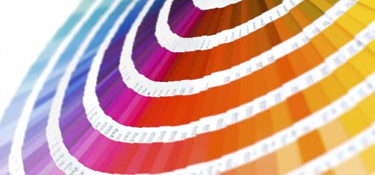 escoger color marcas