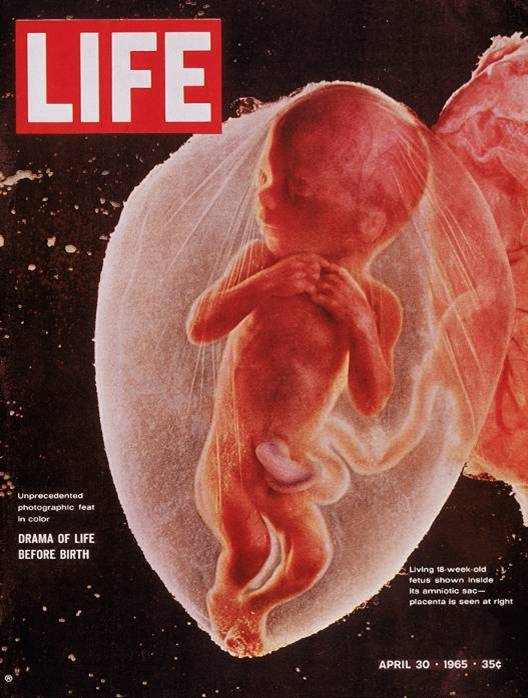 The 40 most famous covers of American magazines 96 mejores portadas usa 11