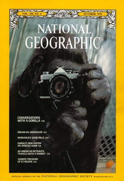 The 40 most famous covers of American magazines 124 mejores portadas usa 37