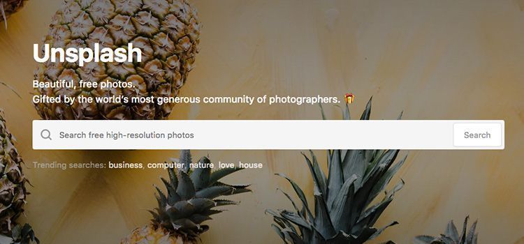 The best Free Photo Stock sites 20 unsplash