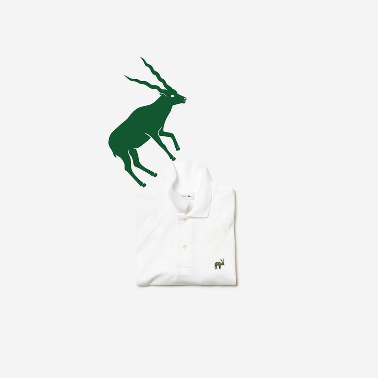El logotipo de Lacoste vuelve a cambiar por especies en vía de extinción 27 lacoste x save our pieces 01