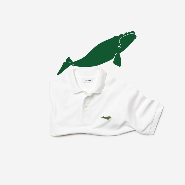 El logotipo de Lacoste vuelve a cambiar por especies en vía de extinción 29 lacoste x save our pieces 07