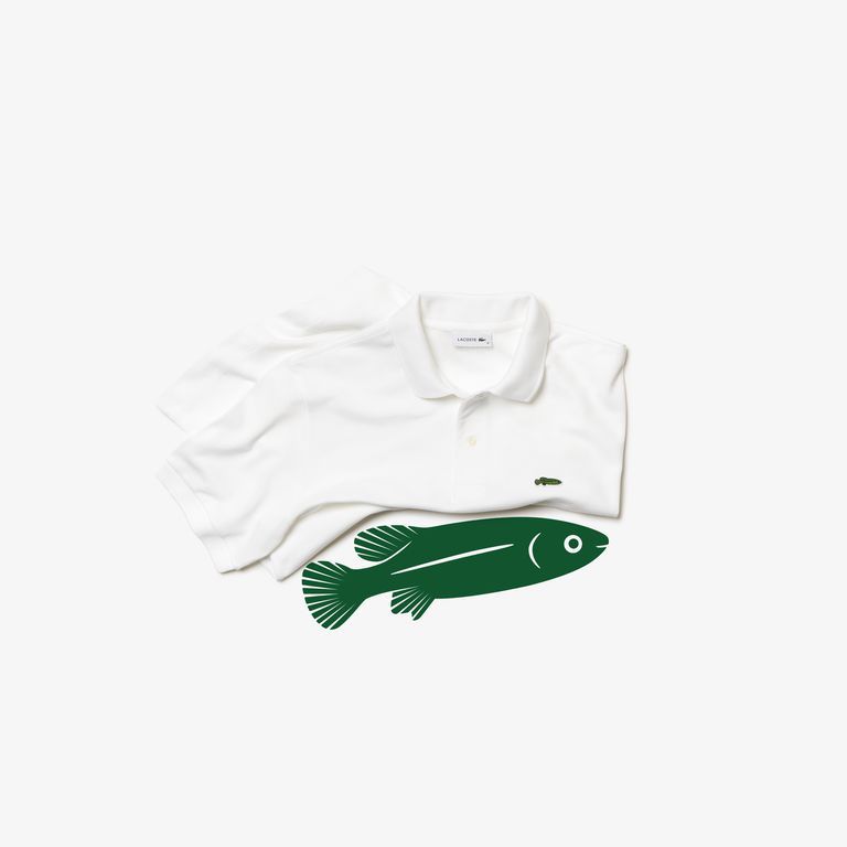 El logotipo de Lacoste vuelve a cambiar por especies en vía de extinción 32 lacoste x save our pieces 09