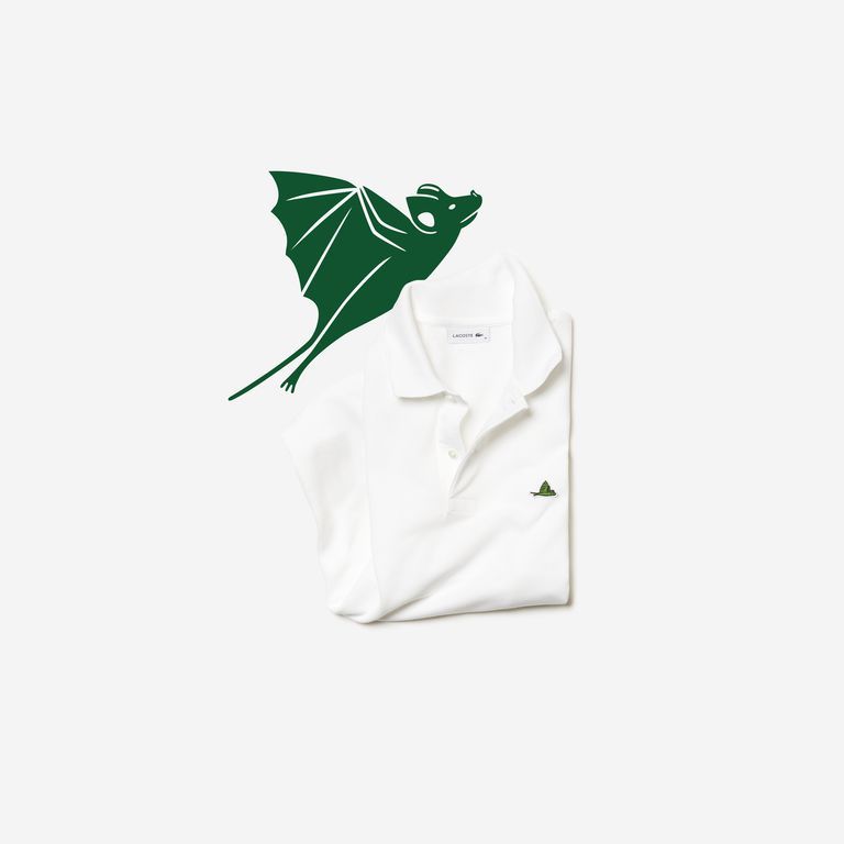 El logotipo de Lacoste vuelve a cambiar por especies en vía de extinción 31 lacoste x save our pieces 10