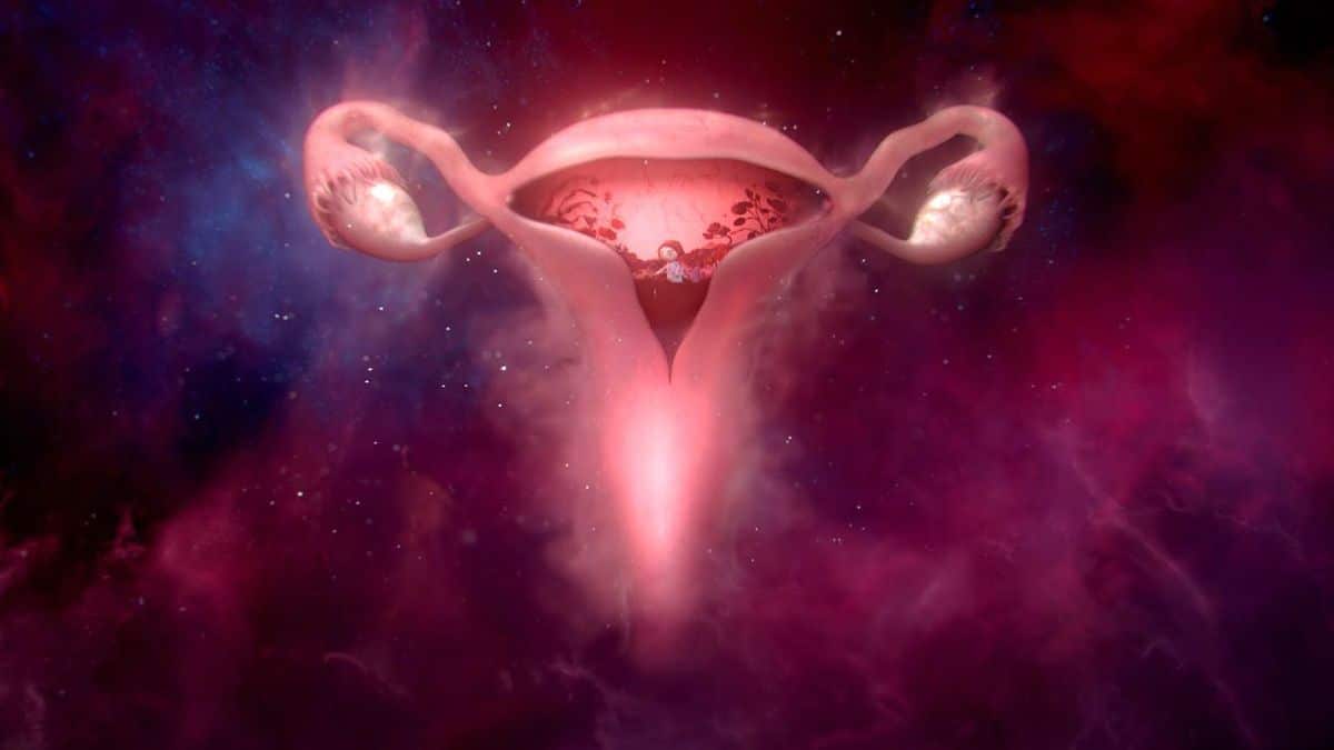 Womb Stories, la mejor campaña de publicidad de 2021 5 wombstories libresse anuncio 2021 01