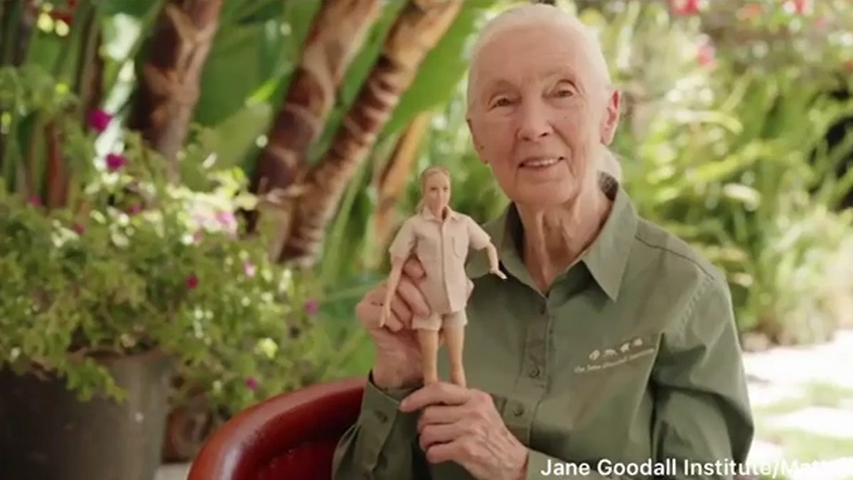 El homenaje de Barbie a la doctora Jane Goodall 6 barbie jane goodall 01
