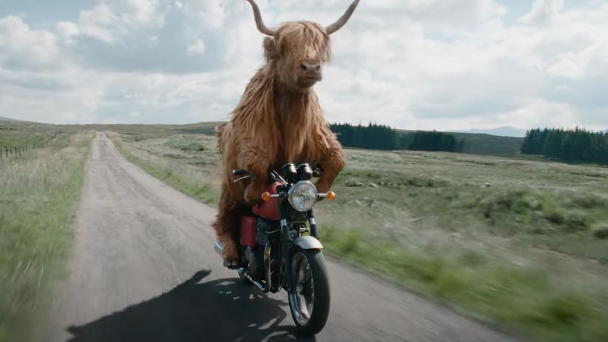 El divertido anuncio de Virgin monta una vaca en moto 5 anuncio de virgin when you can walk when you can ride 01