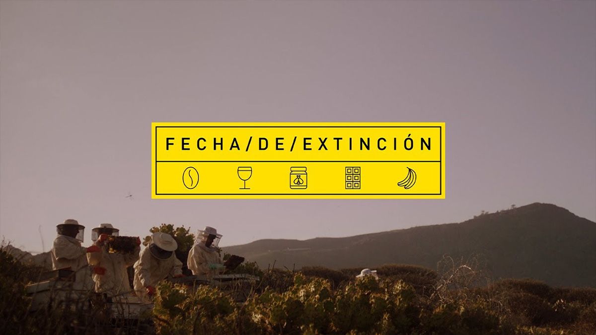 El anuncio de Aldi quiere evitar que se extingan algunos alimentos 1 anuncio de aldi fecha de extincion 01