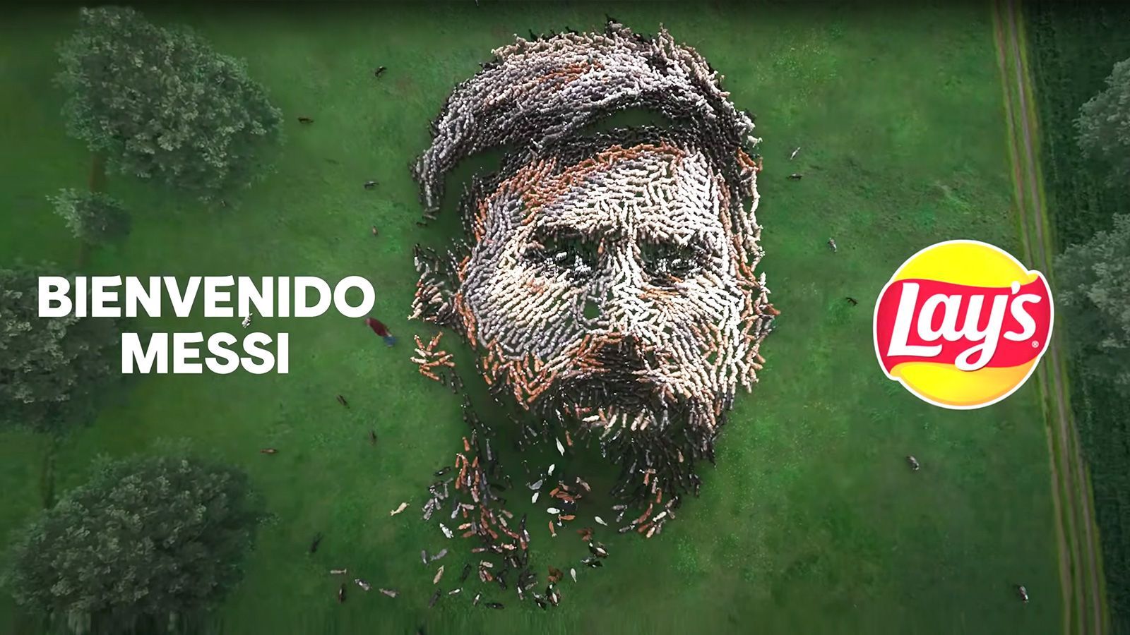 Cara de Messi con cabras - Anuncio de Lay's Cara de Messi con cabras - Anuncio de Lay's
