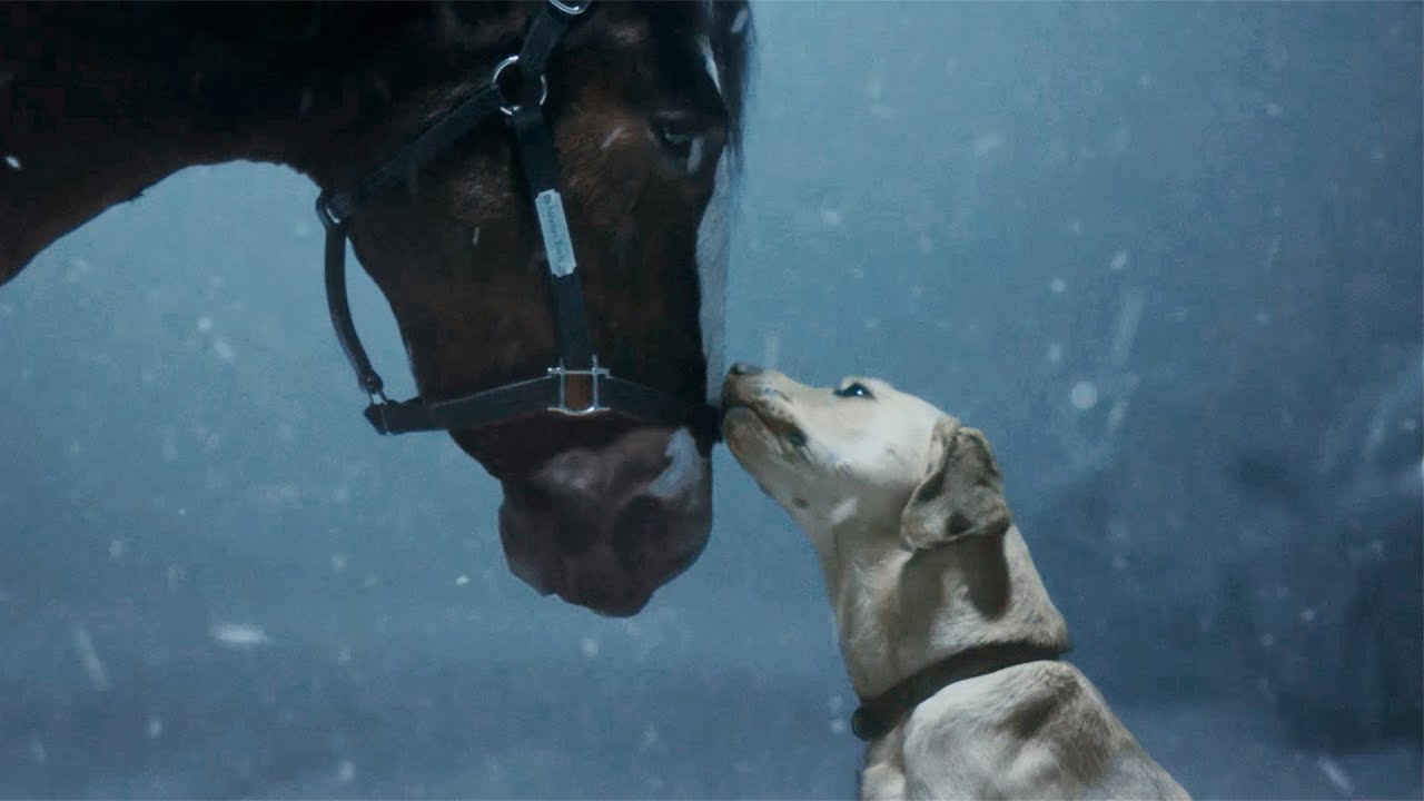 El anuncio de Budweiser para la Super Bowl: "Old School Delivery" 5 anuncio de budweiser super bowl 2024