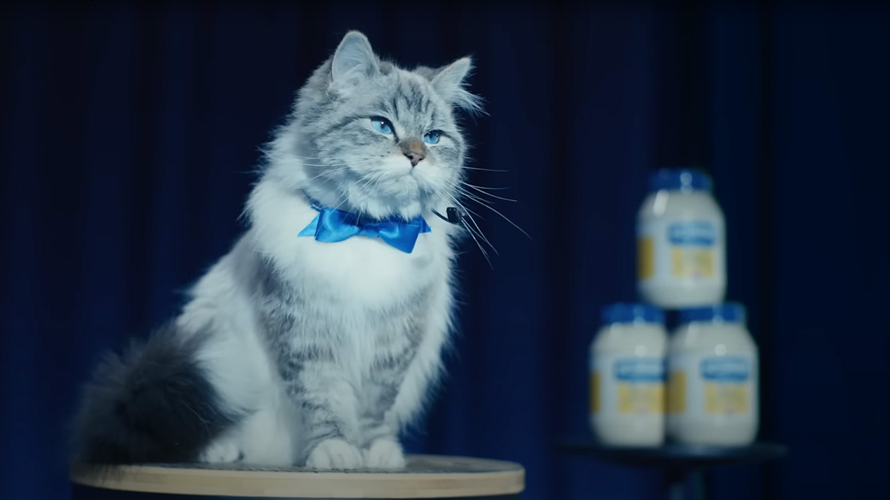 El divertido anuncio de Hellmann's para la Super Bowl y el gato que habla. 7 anuncio de hellmans para la super bowl