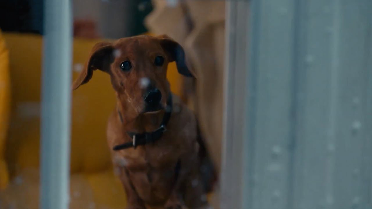 Ikea's Christmas advert featuring a dachshund 10 anuncio de navidad de ikea 2024 hej hej hej