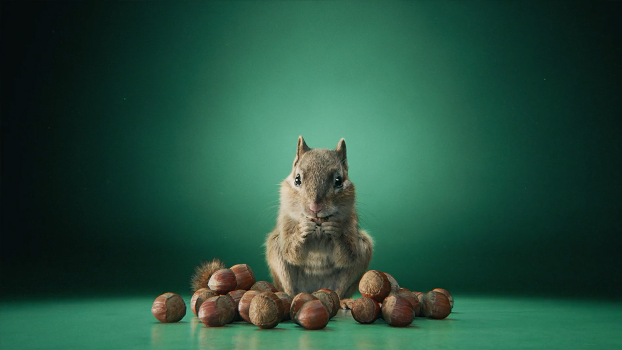 Skoda's advert inspired by nature: "Be more Elroq" 4 anuncio de skdoda be more elroq