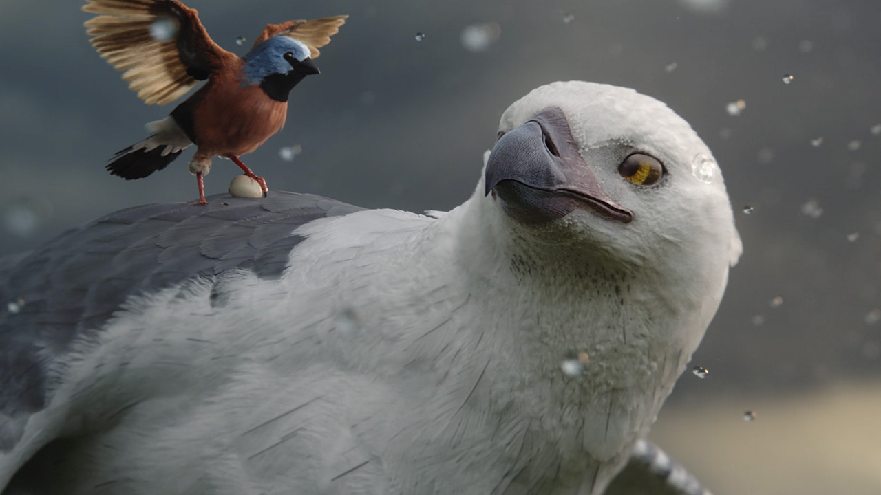 The Allianz advert is a touching story about two birds: "Flight of the Finch" 2 anuncio de allianz flight of the finch